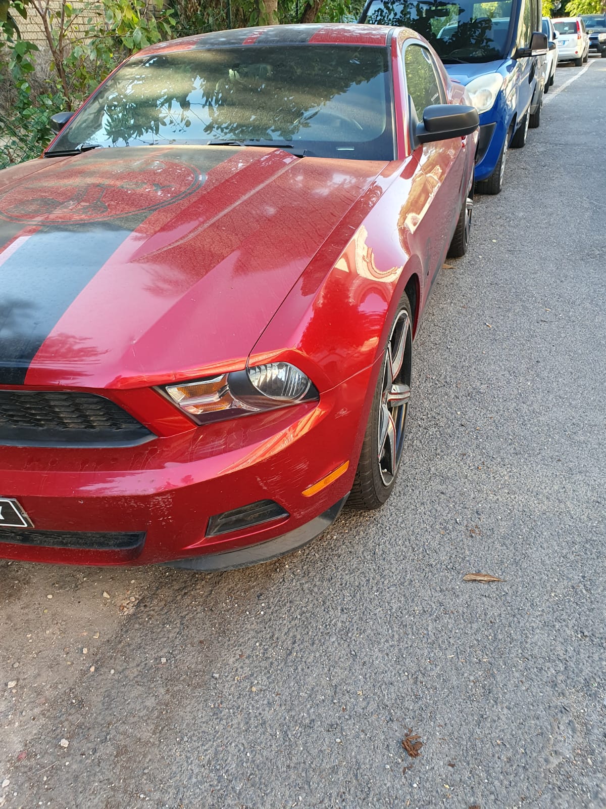 ford mustang